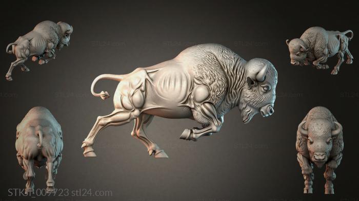 STKJI_009723 3d STL model