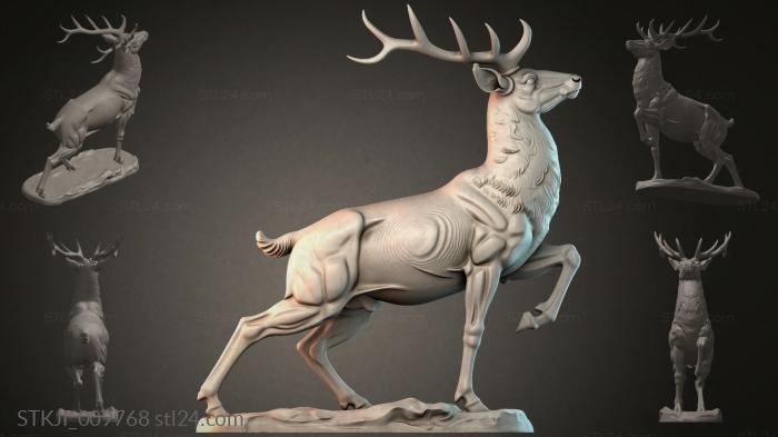 STKJI_009768 3d STL model