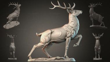 Animal figurines STKJI_009768 3d model