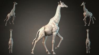 Animal figurines STKJI_009888 3d model