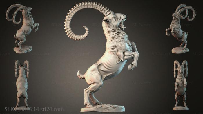 STKJI_009914 3d STL model