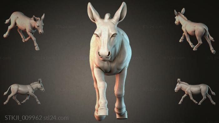 STKJI_009962 3d STL model