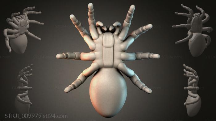 Муравей с восемью конечностями 3D модель