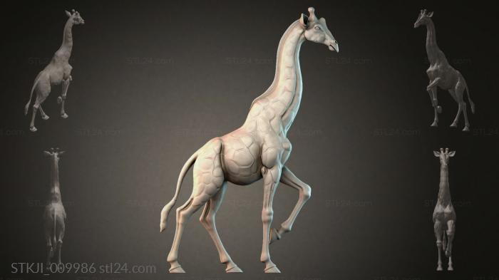 STKJI_009986 3d STL model