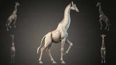 Animal figurines STKJI_009986 3d model