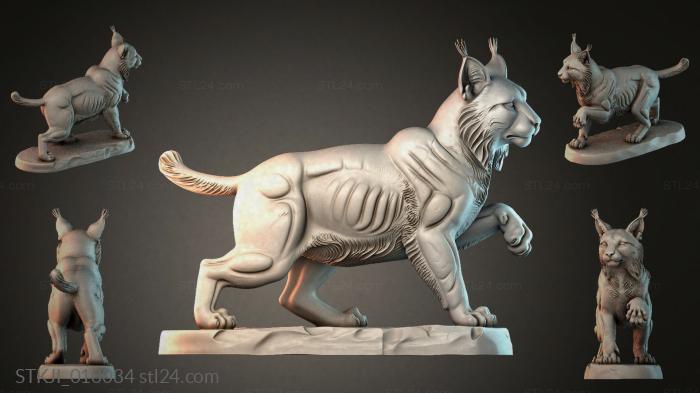 STKJI_010034 3d STL model