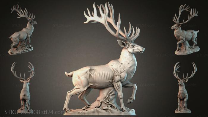 STKJI_010038 3d STL model