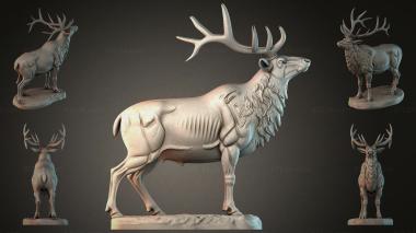 Animal figurines STKJI_010069 3d model