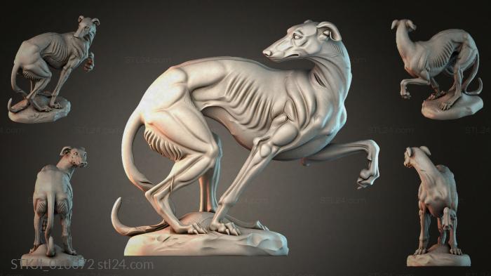 STKJI_010072 3d STL model