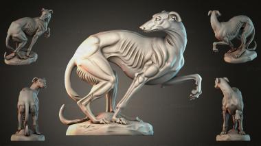 Animal figurines STKJI_010072 3d model