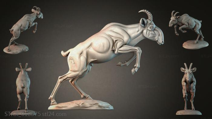 STKJI_010075 3d STL model