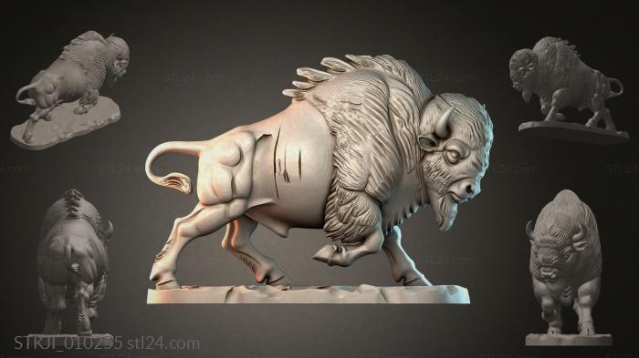 STKJI_010255 3d STL model