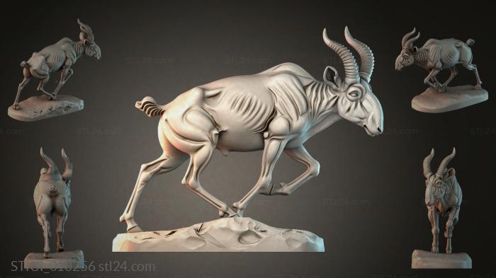 STKJI_010256 3d STL model