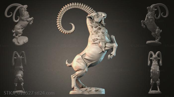 STKJI_010527 3d STL model