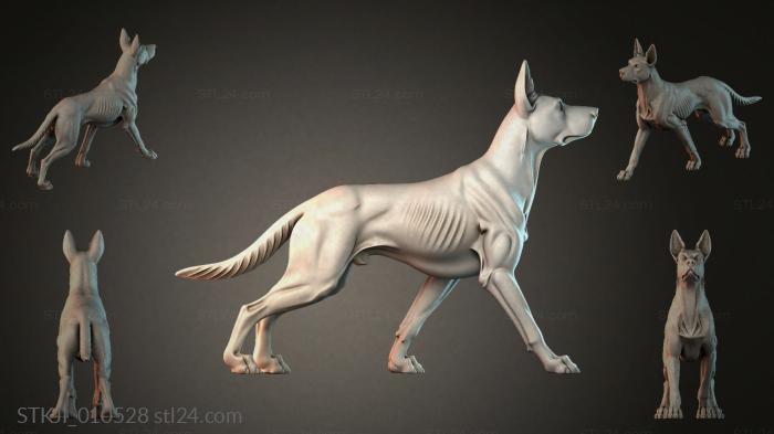 STKJI_010528 3d STL model