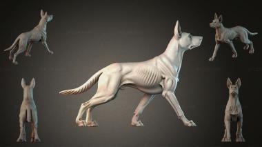 Animal figurines STKJI_010528 3d model