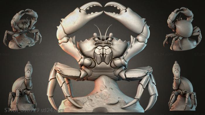 STKJI_010729 3d STL model