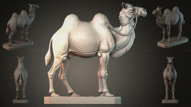 Animal figurines STKJI_010982 3d model
