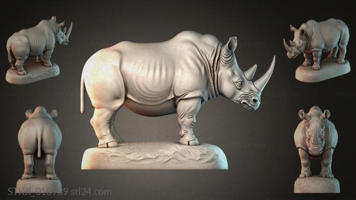STKJI_010989 3d STL model