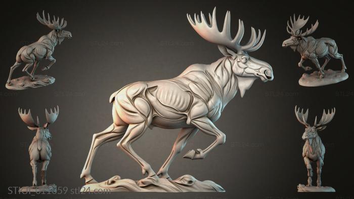 STKJI_011059 3d STL model