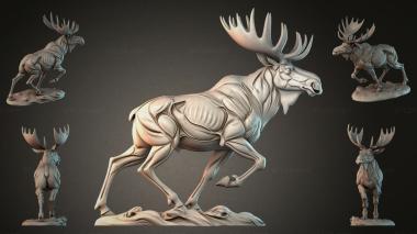 Animal figurines STKJI_011059 3d model