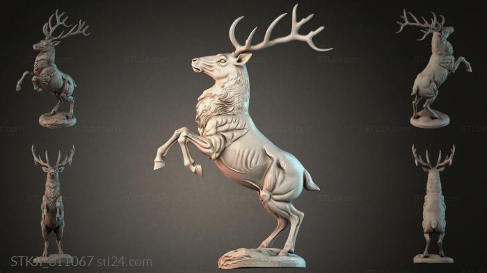 STKJI_011067 3d STL model