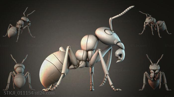STKJI_011154 3d STL model