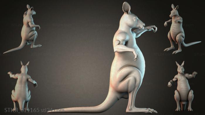 STKJI_011165 3d STL model