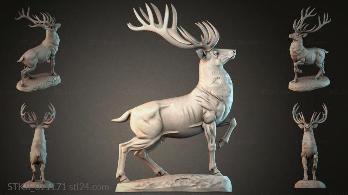 STKJI_011171 3d STL model