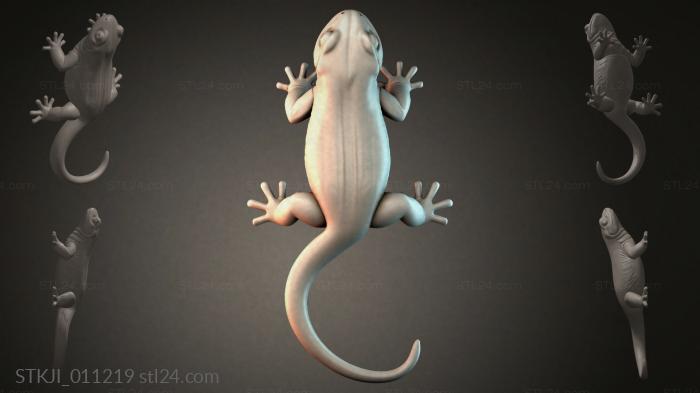 STKJI_011219 3d STL model