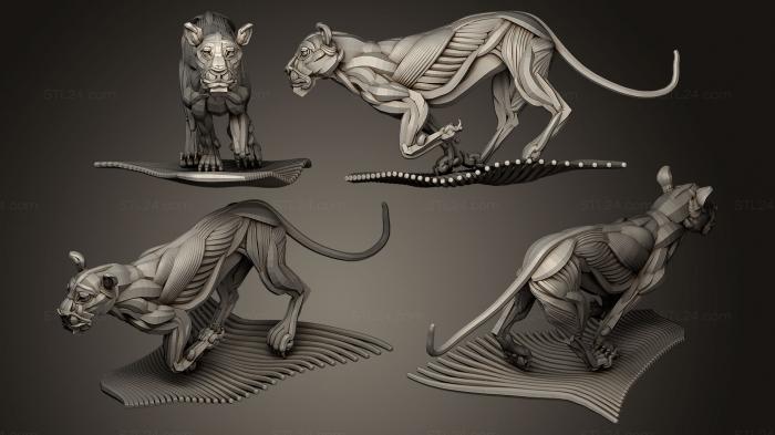 Статуэтки львы тигры сфинксы (Бегущая львица экорш, STKL_0254) 3D модель для ЧПУ станка