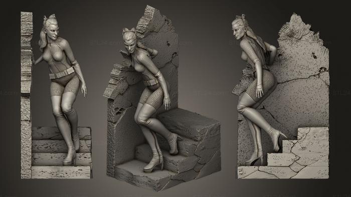 Catwoman Statue Wall