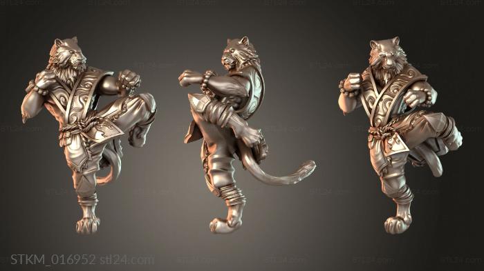 Arm Warframe