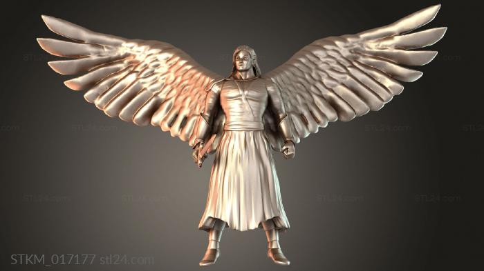 Angel Solar Defender