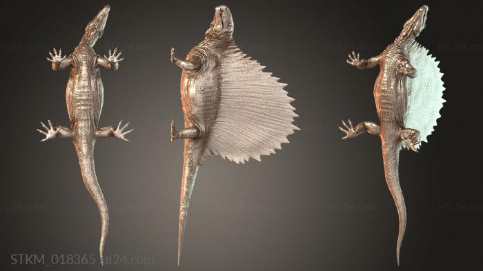 Dimetrodon Level Creature