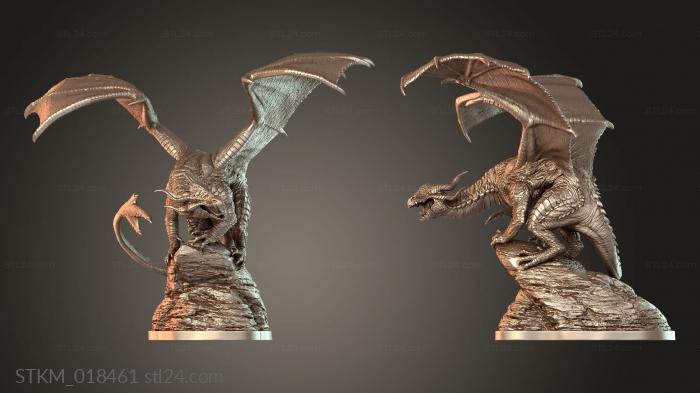 Dragon Kit Assembly