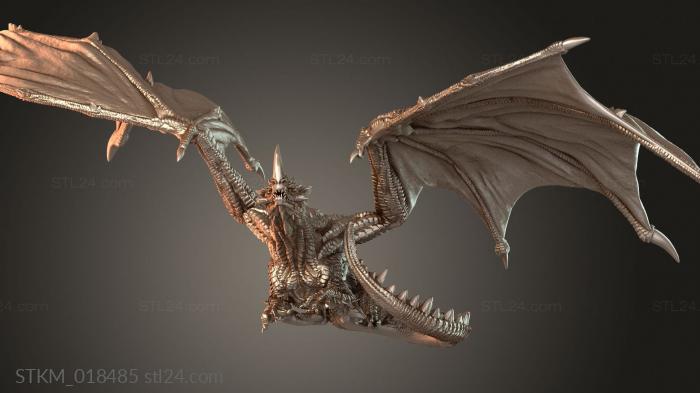 Dragon Youngling