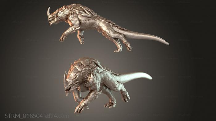 Dragonborn Mount Wild Form R