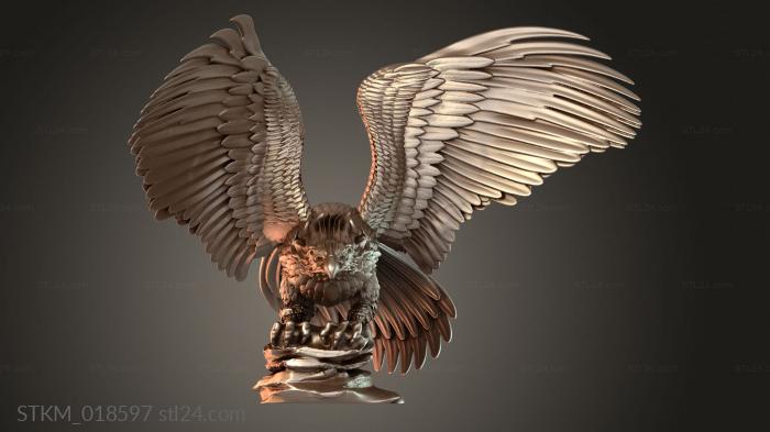 Eagle