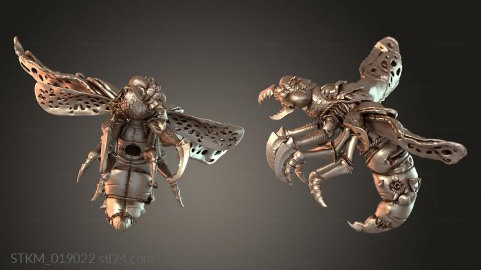 Fly Riders Buzzing Raiders