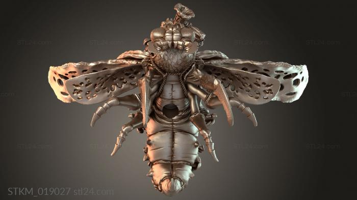 Fly Riders Musician Bugle