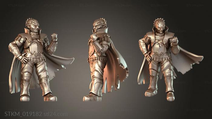 Ganondorf Warlord