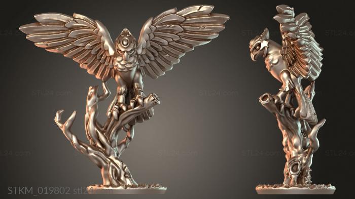 Hawk rider hero Gallant