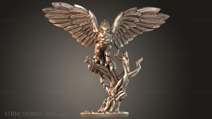 Hawk rider sorceress