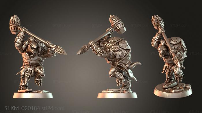 Figurines heroes, monsters and demons (Jadeshell Turtlekin Enigmatic, STKM_020184) 3D models for cnc