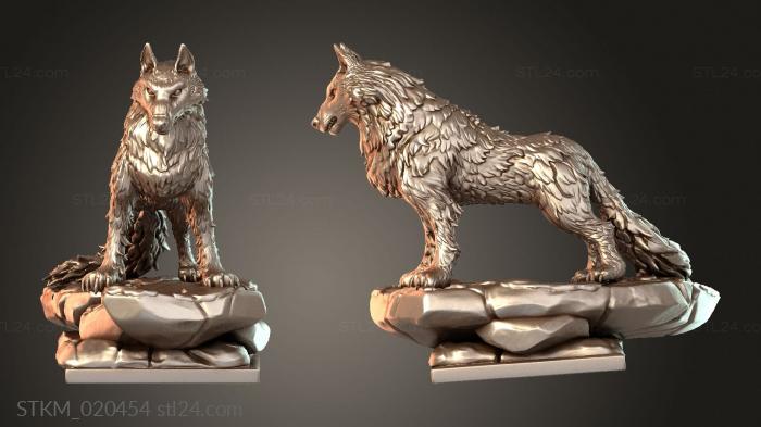 Kuro and Shiro White Wolf