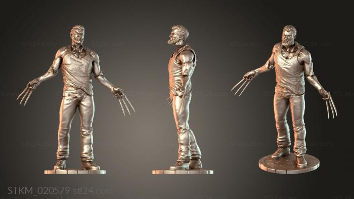 Logan Arm