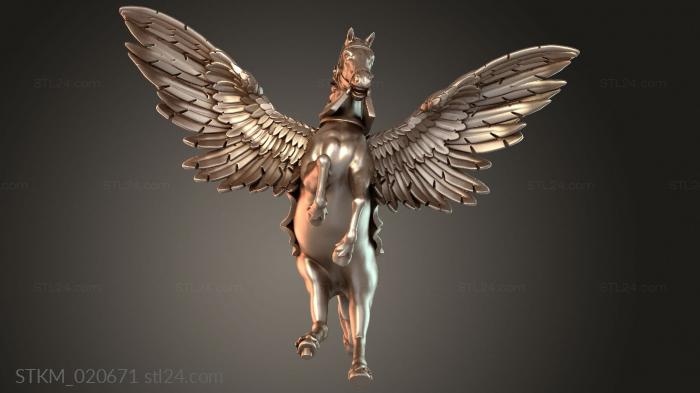 Mage Sunland on Pegasus Big