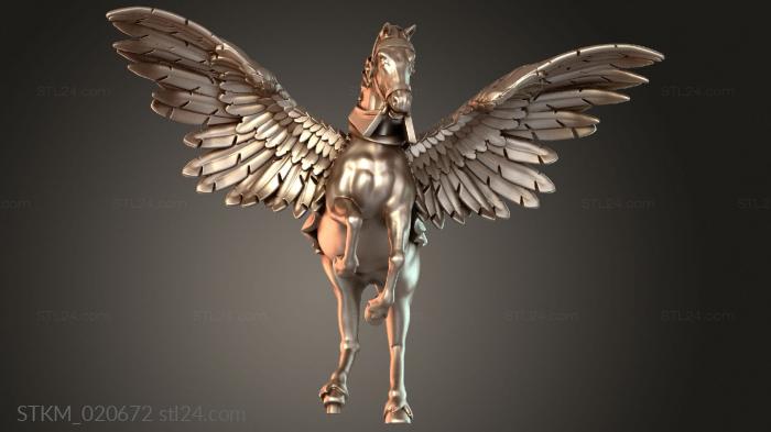 Mage Sunland on Pegasus Thin