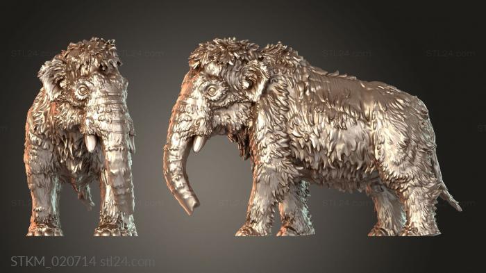 Mammoth Family Huge Son